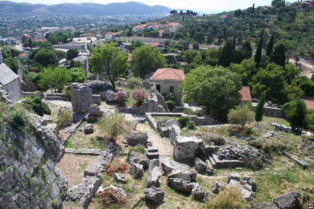 img00005.jpg