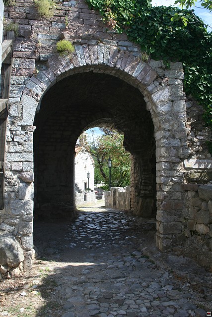 img00007.jpg