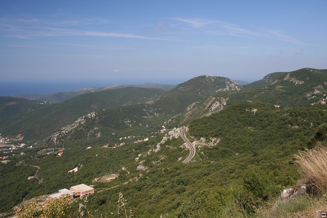 img00003.jpg