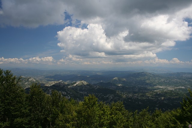 img00015.jpg