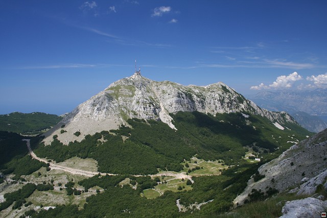 img00018.jpg