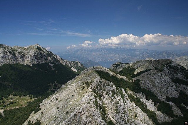 img00021.jpg
