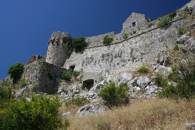 img00002.jpg