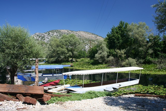img00003.jpg