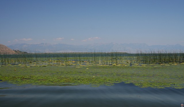 img00011.jpg