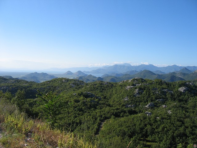 img00002.jpg