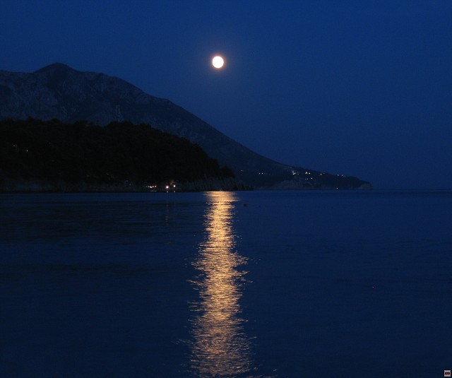 img00007.jpg