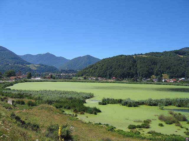 img00004.jpg