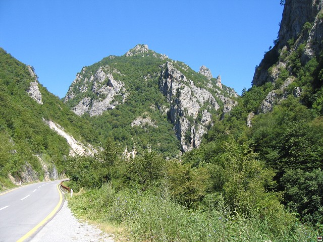img00005.jpg