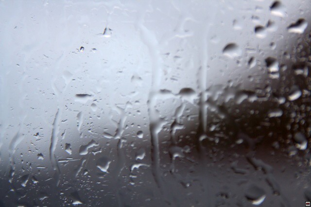 img00003.jpg