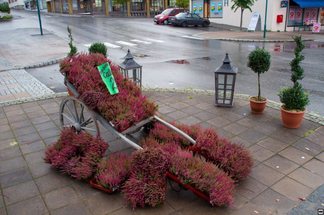 img00007.jpg