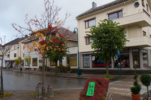 img00008.jpg