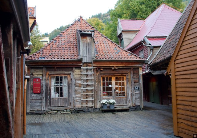 img00030.jpg