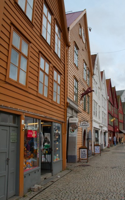 img00033.jpg