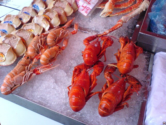 img00041.jpg