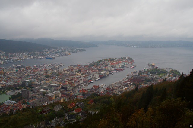 img00003.jpg