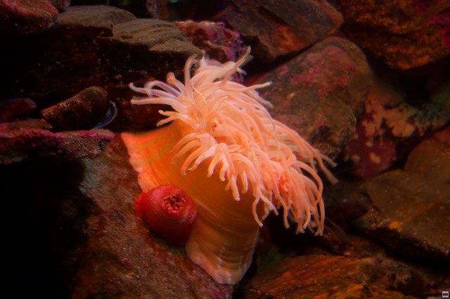 img00006.jpg