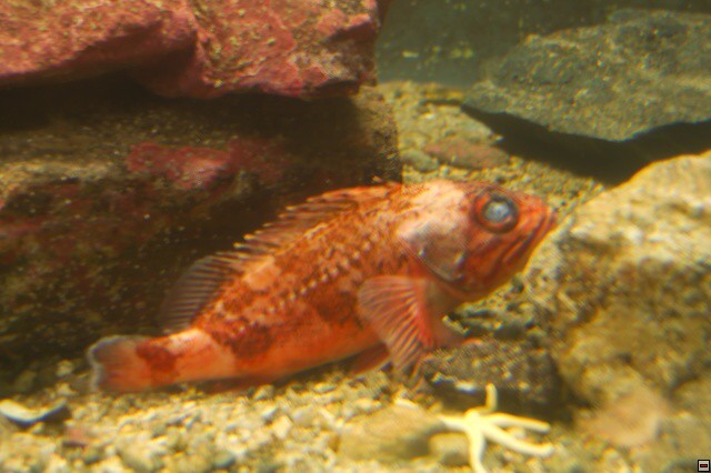 img00007.jpg