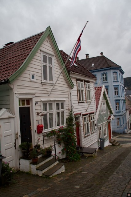 img00008.jpg