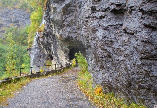 img00011.jpg