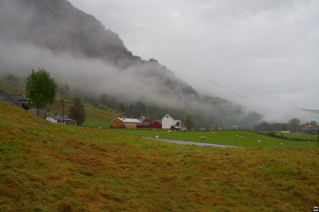img00013.jpg