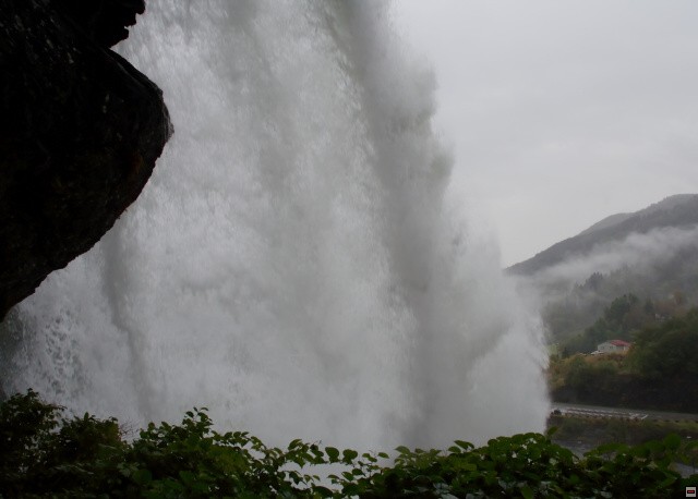 img00015.jpg