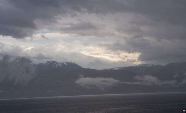 img00019.jpg