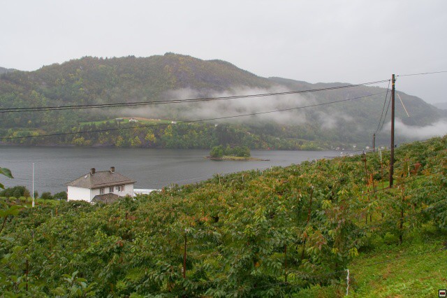 img00020.jpg