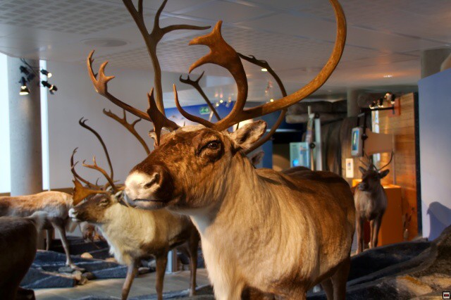 img00026.jpg