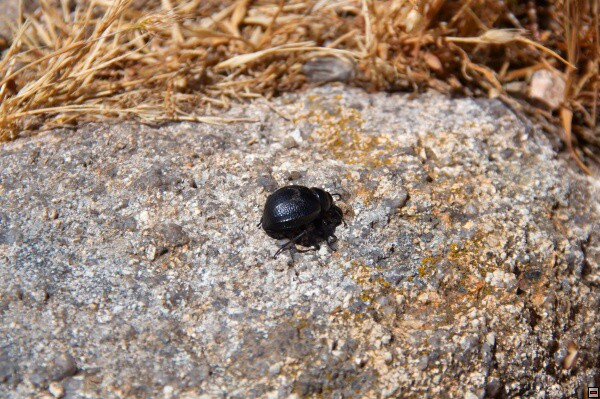 img00024.jpg