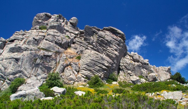 img00028.jpg