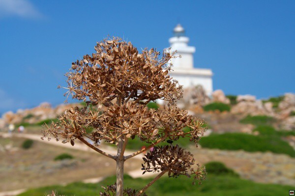 img00002.jpg