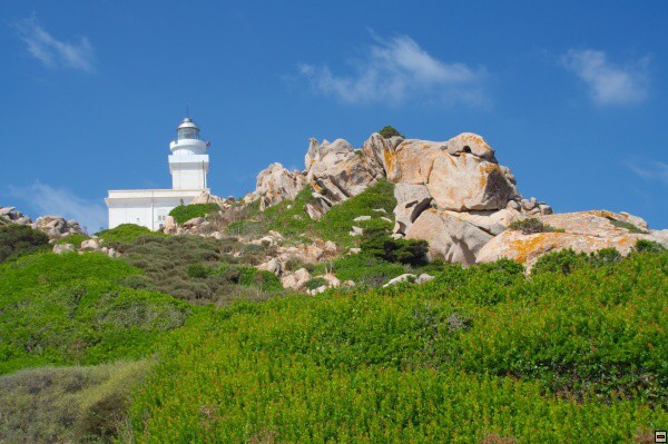 img00003.jpg