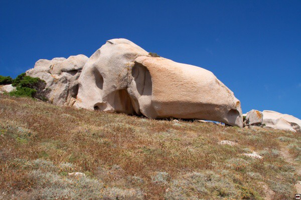img00005.jpg