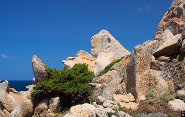 img00010.jpg