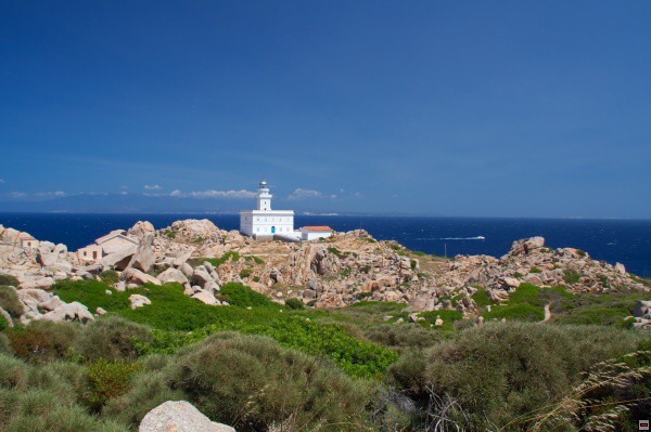 img00017.jpg