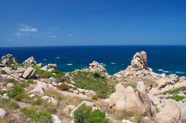 img00020.jpg