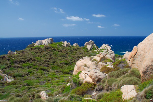 img00021.jpg