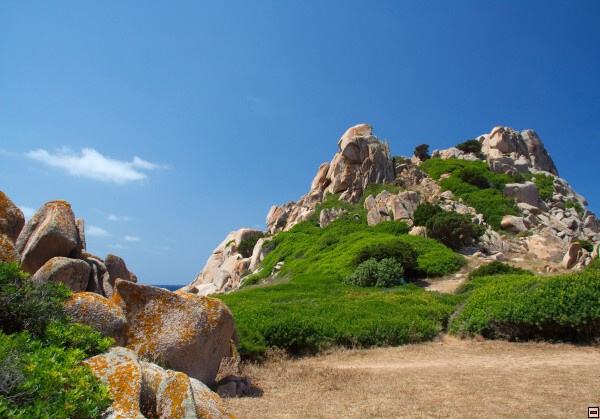 img00024.jpg