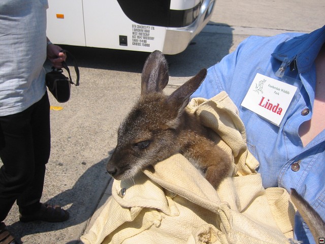 img00007.jpg