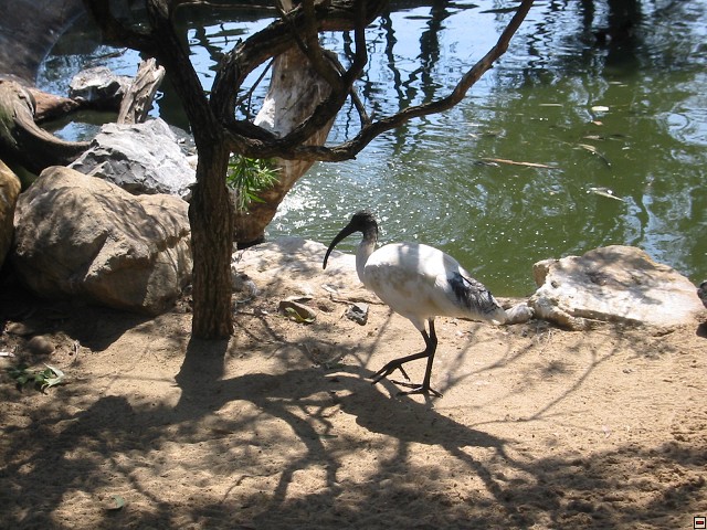 img00008.jpg