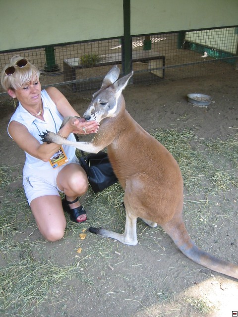 img00010.jpg