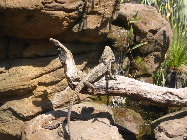 img00012.jpg