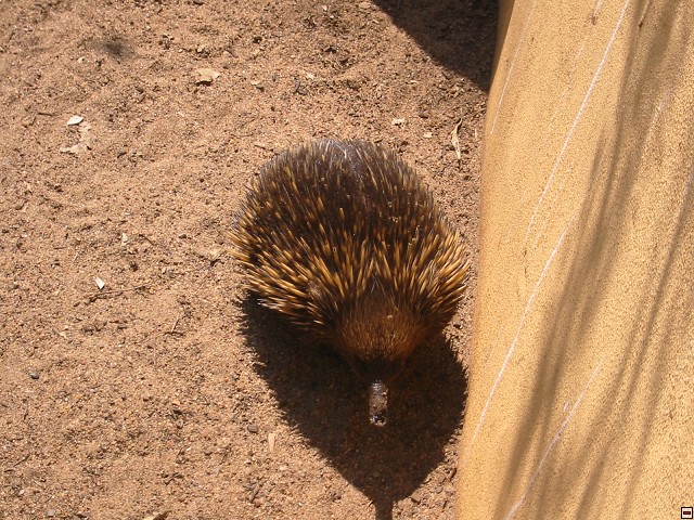 img00013.jpg