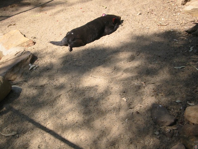 img00015.jpg