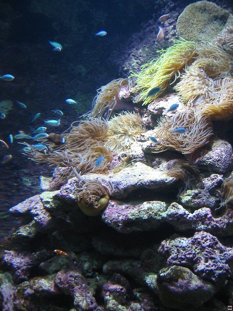 img00032.jpg