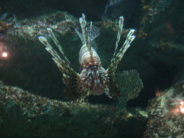 img00034.jpg