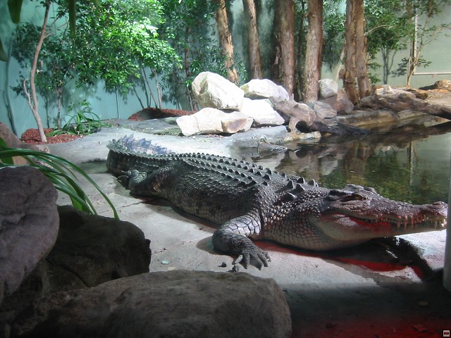img00038.jpg