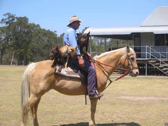 img00041.jpg