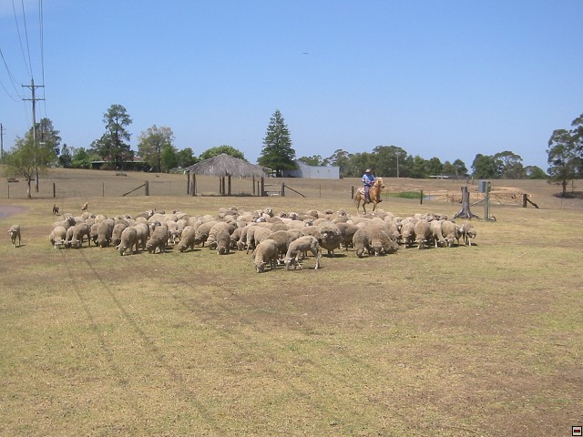 img00042.jpg